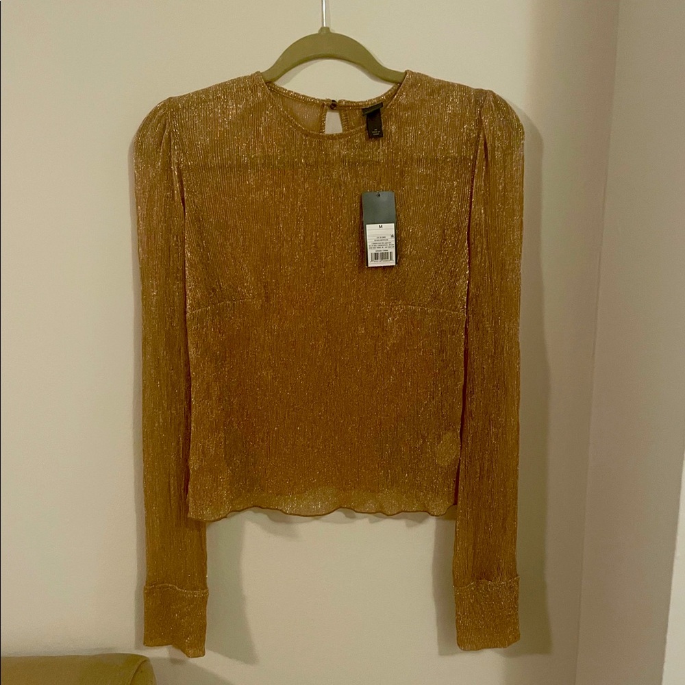 Wild Child Shimmery Sheer Top